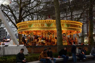 DSC_5942 (Large).JPG